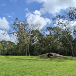 League City Dog Park - League City