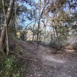 League City Dog Park - League City