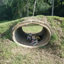 League City Dog Park - League City