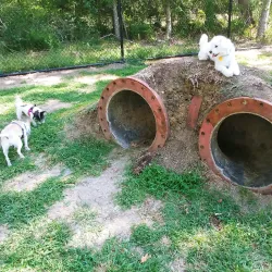 League City Dog Park - League City