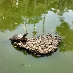 League Park - League City