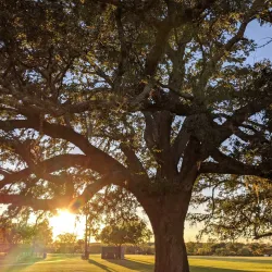 Walter Hall Park - League City