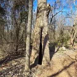 Coppell Nature Park - Lewisville