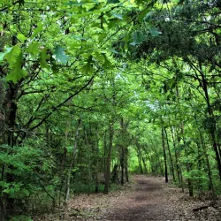 Coppell Nature Park - Lewisville