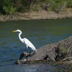Lewisville Lake Environmental Learning Area (LLELA) - Lewisville