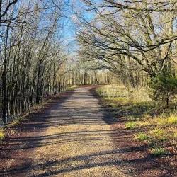 Lewisville Lake Environmental Learning Area (LLELA) - Lewisville