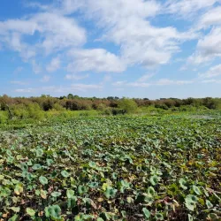Lewisville Lake Environmental Learning Area (LLELA) - Lewisville