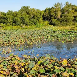 Lewisville Lake Environmental Learning Area (LLELA) - Lewisville