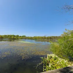 Lewisville Lake - Lewisville