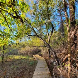 Lewisville Lake - Lewisville