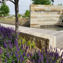 Old Town Lewisville - Lewisville