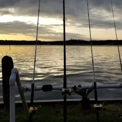 Lake Livingston Marina - Livingston