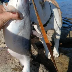 Lake Livingston Marina - Livingston