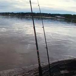 Lake Livingston Marina - Livingston