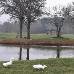 Livingston City Park - Livingston