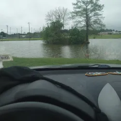 Livingston City Park - Livingston