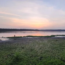 Sam Houston National Forest - Livingston