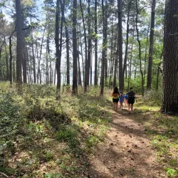 Sam Houston National Forest - Livingston