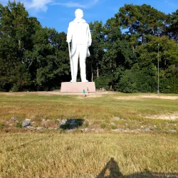 Sam Houston National Forest - Livingston