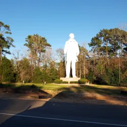 Sam Houston National Forest - Livingston