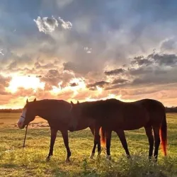 City of Llano Downtown Historic District - Llano