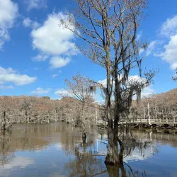 Caddo Lake State Park - Longview