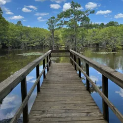 Caddo Lake State Park - Longview