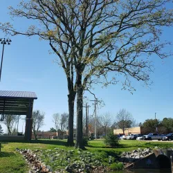 LeTourneau University - Longview