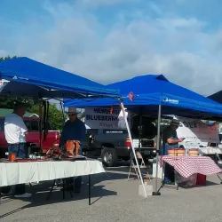 Longview Farmers Market - Longview