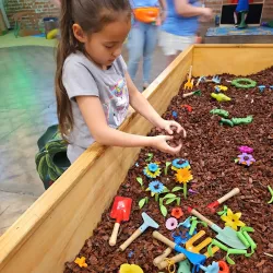 Longview World of Wonders - Longview