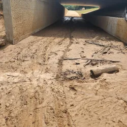 Paul Boorman Trail - Longview