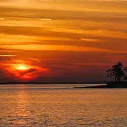 Angelina National Forest - Lufkin