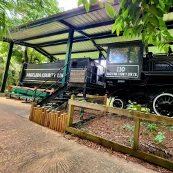 Ellen Trout Zoo - Lufkin
