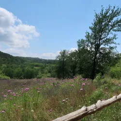 Cedar Ridge Preserve - Mansfield