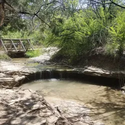 Cedar Ridge Preserve - Mansfield