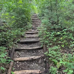 Cedar Ridge Preserve - Mansfield