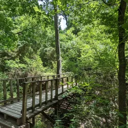 Cedar Ridge Preserve - Mansfield