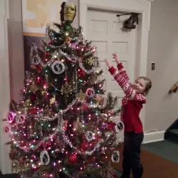 Mansfield Community Theatre - Mansfield