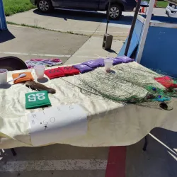 Mansfield Farmers Market - Mansfield