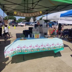 Mansfield Farmers Market - Mansfield