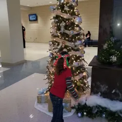 Mansfield ISD Performing Arts Center - Mansfield