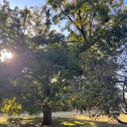 Walnut Creek Linear Park - Mansfield