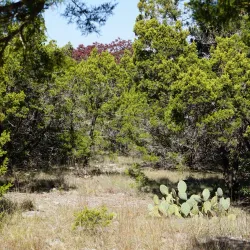 Balcones Canyonlands National Wildlife Refuge - Marble Falls