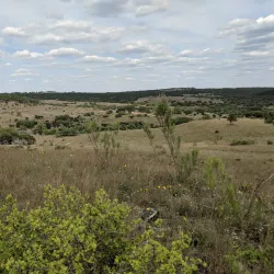 Balcones Canyonlands National Wildlife Refuge - Marble Falls