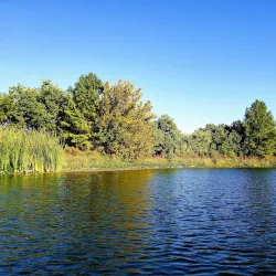 Lake LBJ - Marble Falls