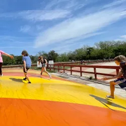 Sweet Berry Farm - Marble Falls