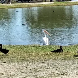 Fireman's Park - McAllen