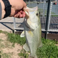 Fireman's Park - McAllen