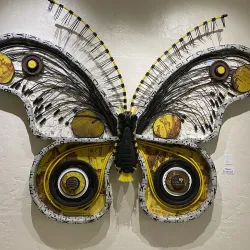 International Museum of Art & Science (IMAS) - McAllen