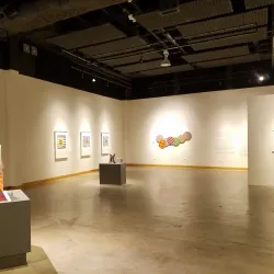 International Museum of Art & Science (IMAS) - McAllen